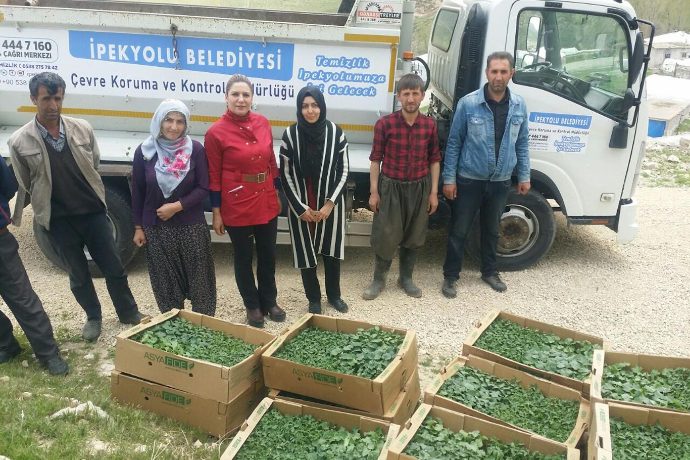 İpekyolu Belediyesi  250 bin adet sebze fidesi dağıttı
